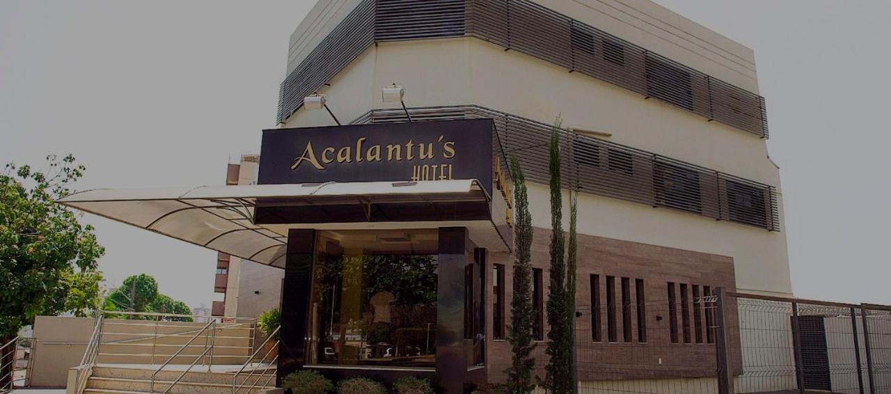 Acalantus Hotel 戈亚尼亚 外观 照片