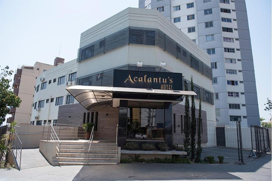 Acalantus Hotel 戈亚尼亚 外观 照片